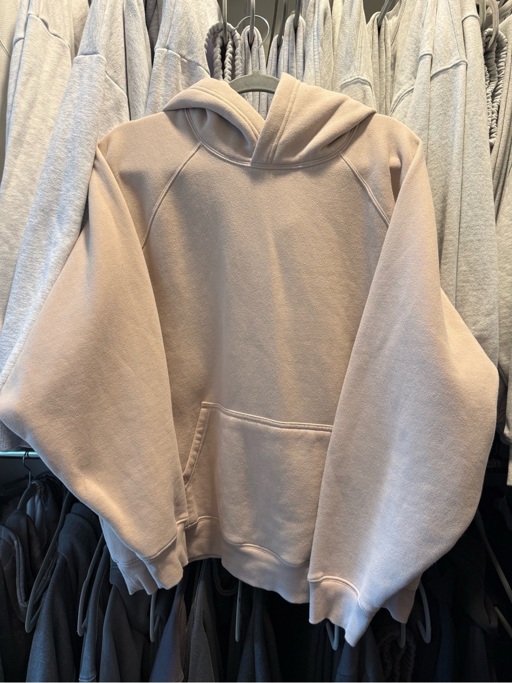 Aritzia Mega Hoodie